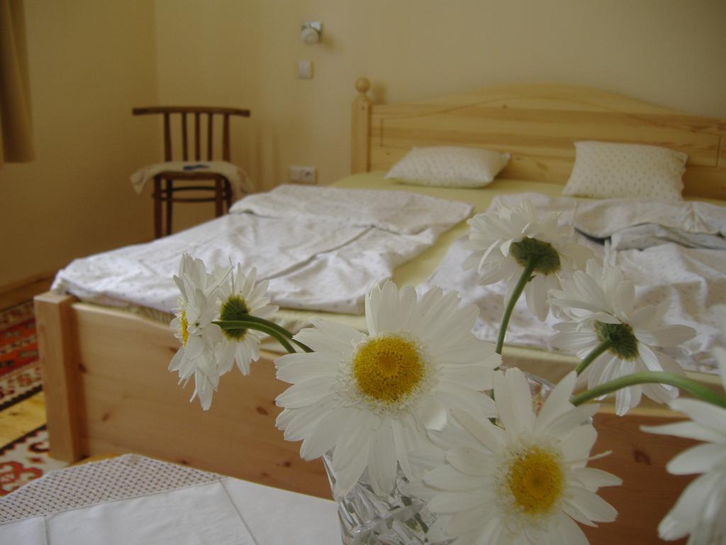 Oeroemvoelgy Vendeghaz Hotel Bozsva ห้อง รูปภาพ